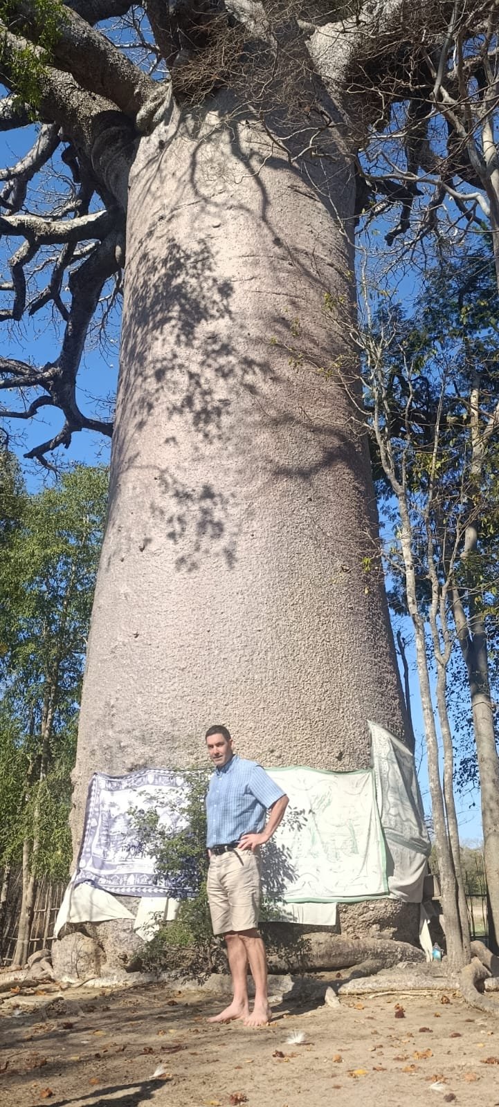 Bivouac sous un baobab géant à Madagascar avec S∞Mada