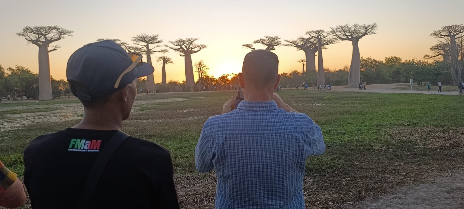 Coucher de soleil sur l'Allée des Baobabs à Madagascar